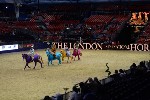 Quadrille - 00599